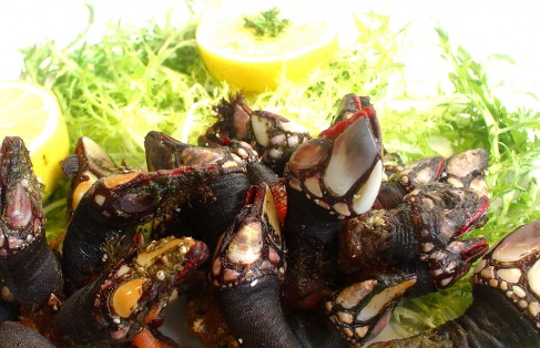 Percebes Cangrejo loco