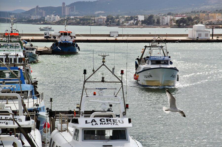 La Punxeta en Casa Asmundo, Sant Carles de la Ràpita